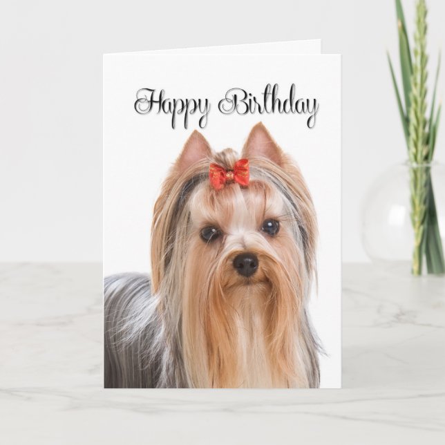 Yorkie Birthday Card (Front)