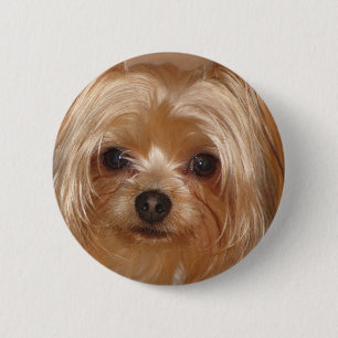 Yorkie Botton 6 Cm Round Badge