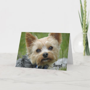 Yorkie Card