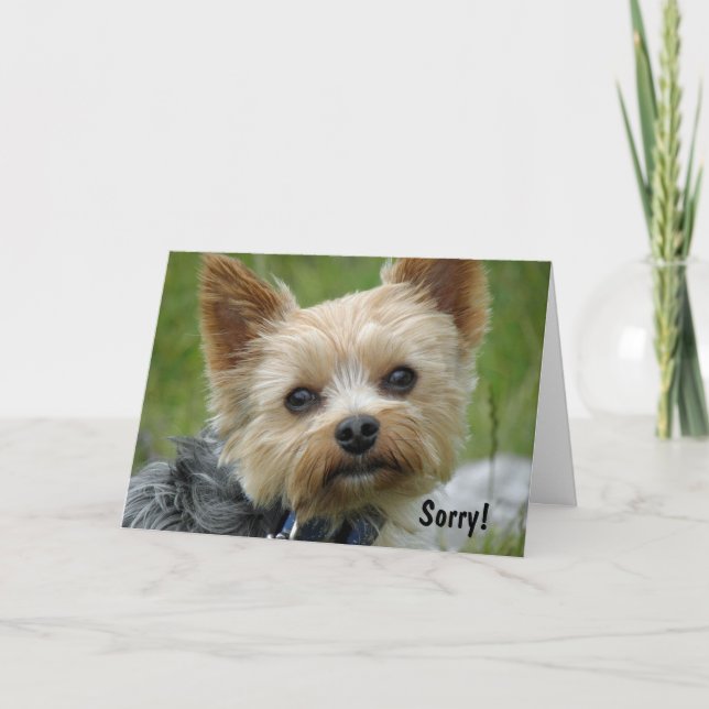 Yorkie Card (Front)