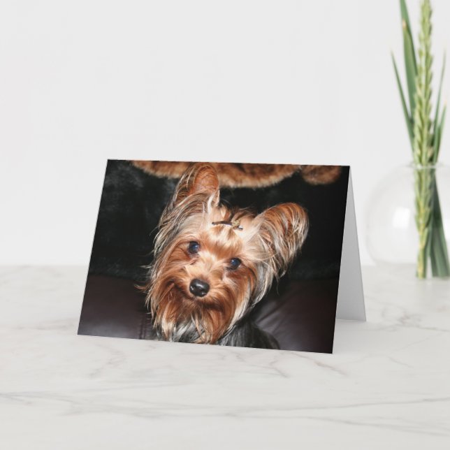 Yorkie Card (Front)