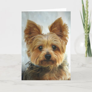 Yorkie Card