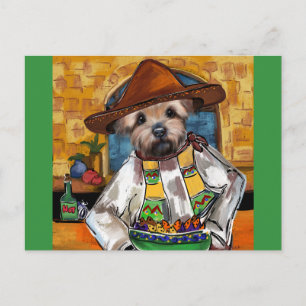 Yorkie Chef Postcard