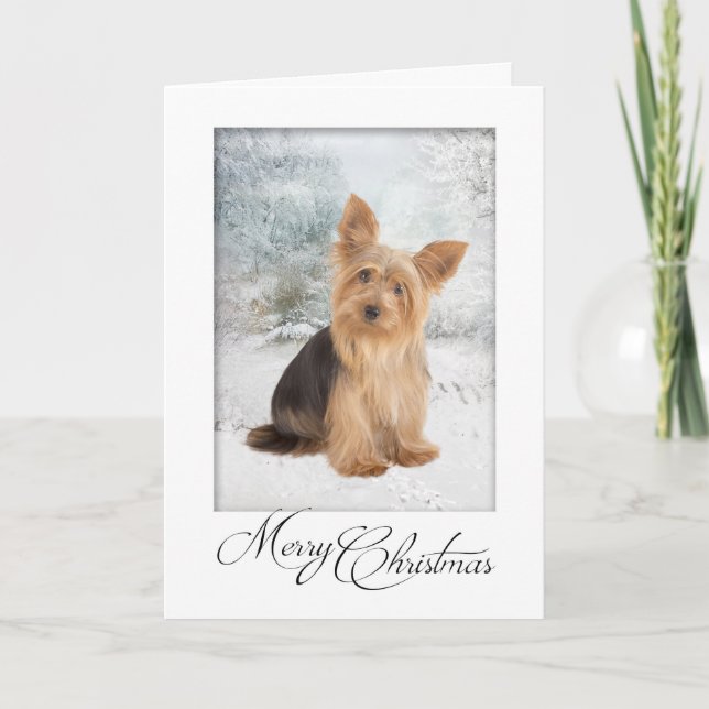 Yorkie Christmas Card (Front)