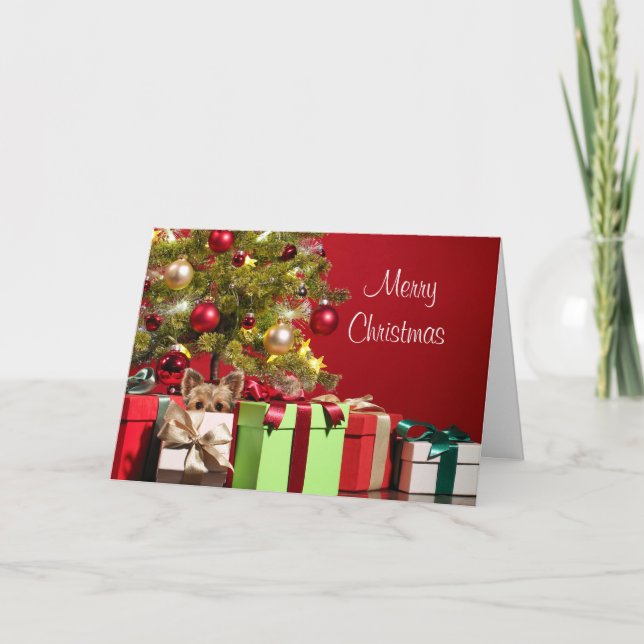 Yorkie Christmas Holiday Card (Front)