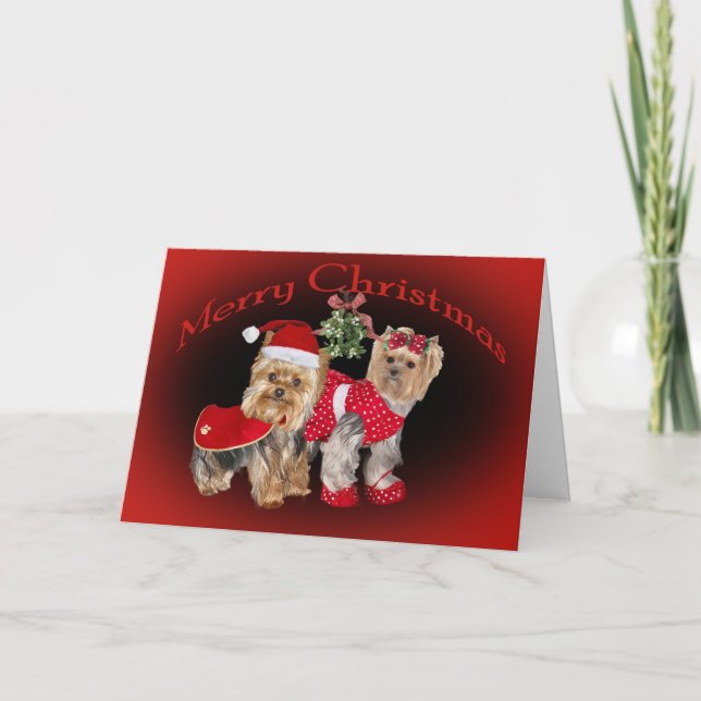 Yorkie Christmas Mistletoe cards (Front)