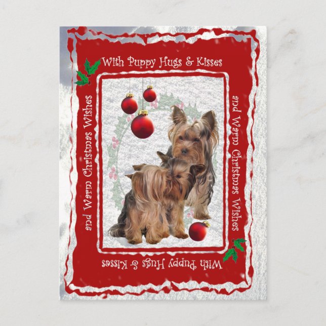 Yorkie Christmas Puppy Hugs and Kisses Postcard (Front)