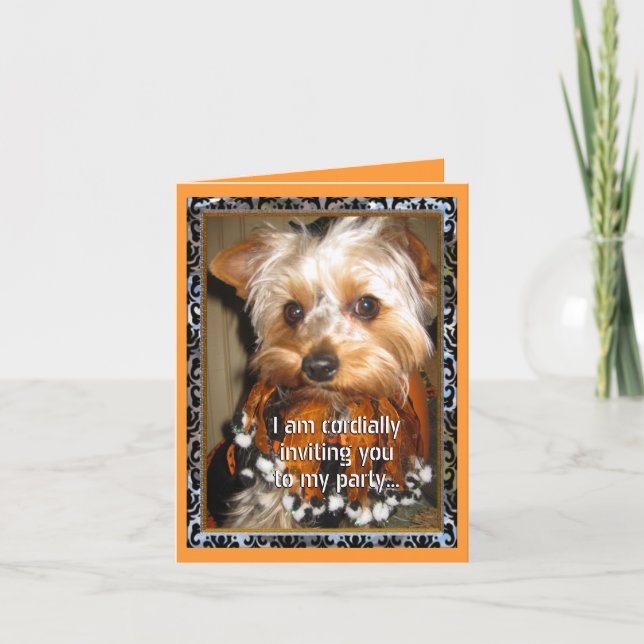 Yorkie Cordial Invite (Front)