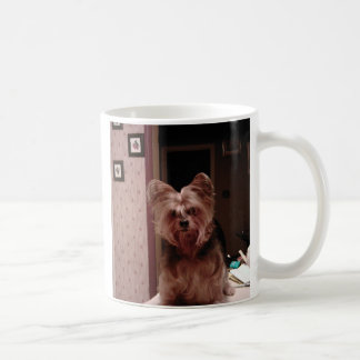 Yorkie Cup