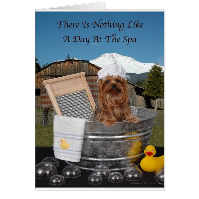 Yorkie Day At Spa (Front)