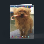 Yorkie Dog Candy Cane Christmas Card<br><div class="desc">Beautiful little Yorkie Holding A candy cane Saying "licks and Kisses,  Have a PAWsome Christmas</div>