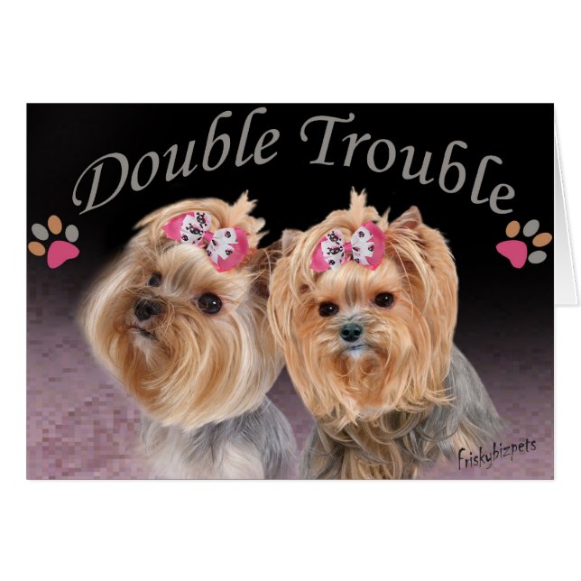 Yorkie Double Trouble Cards (Front Horizontal)