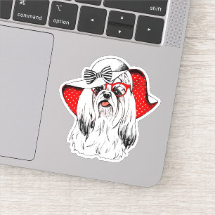 Yorkie Fashion Shoot