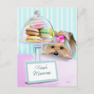 Yorkie French Macarons Postcard