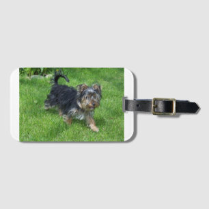 yorkie in motion luggage tag