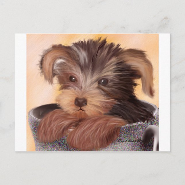 Yorkie in your Cup Postcard (Front)