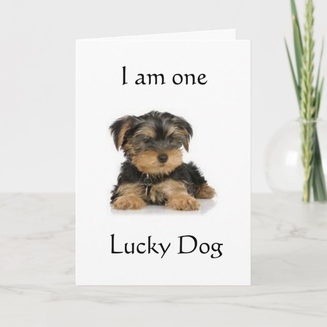 "YORKIE IS ONE LUCKY DOG" BIRTHDAY WISHES CARD (Front)
