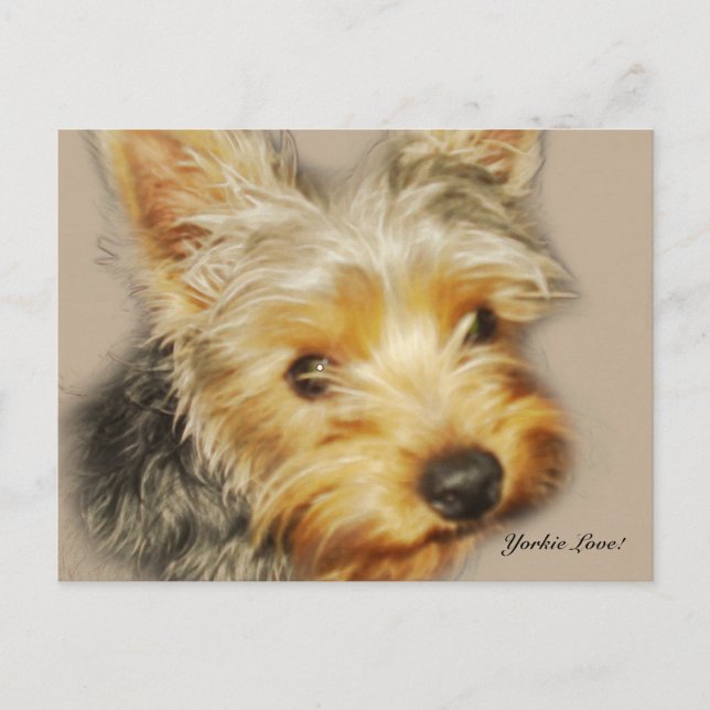 Yorkie Love Postcard (Front)