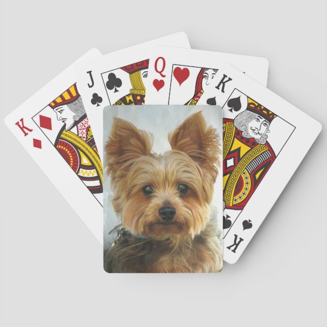 Yorkie luck playing cards (Back)