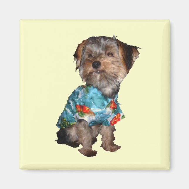 Yorkie Magnet (Front)