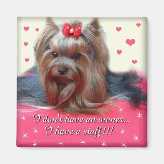 Yorkie Magnet 2 (Front)