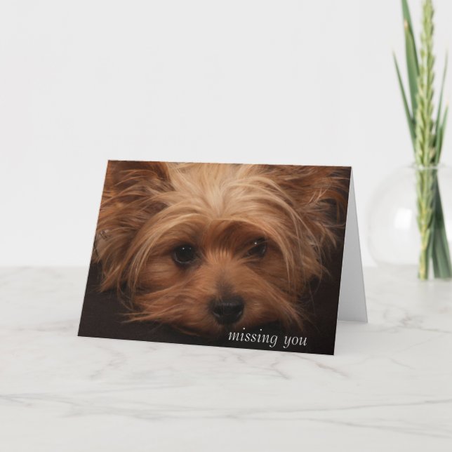 Yorkie Missing You Card (Front)