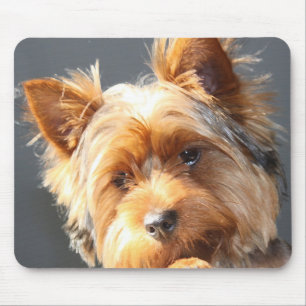yorkie mouse pad