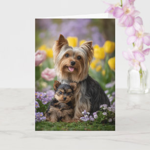 Yorkie Mum Mother’s Day Love Card