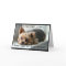 Yorkie on Window Sill Pet Sympathy