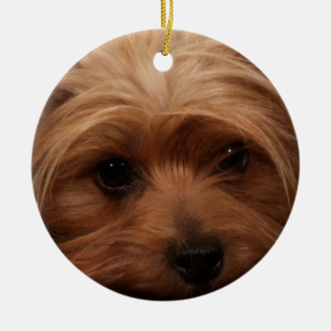 Yorkie or Your Dog Picture Ceramic Tree Decoration (Front)