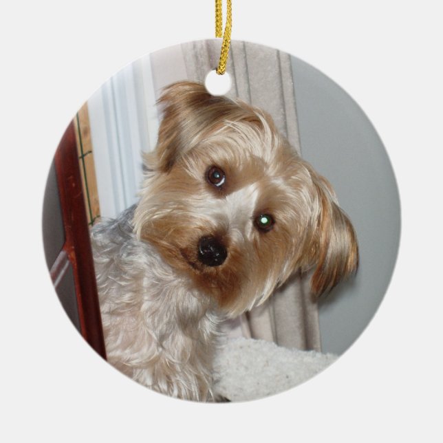 Yorkie Peeking Around the Corner Ceramic Tree Decoration (Front)