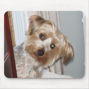 Yorkie Peeking Around the Corner Mouse Pad