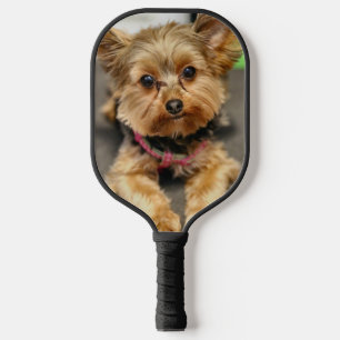 Yorkie pickleball paddle