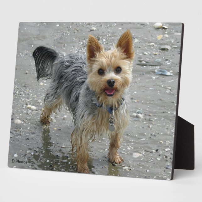 Yorkie Plaque (Side)