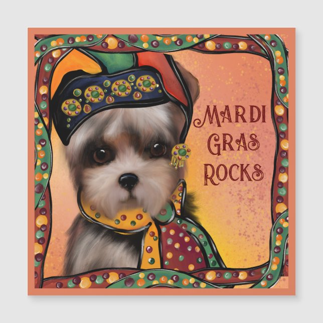 Yorkie Poo (Front)