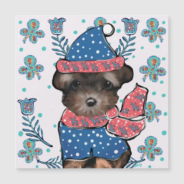 Yorkie Poo  (Front)