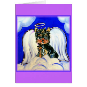 Yorkie Poo Angel