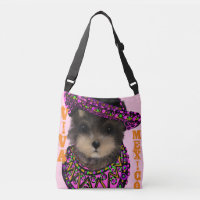 Yorkie Poo   