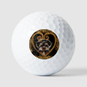 Yorkie Poo Golf Balls