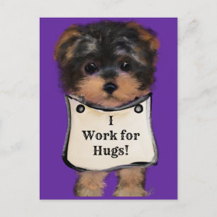 Yorkie Poo Postcard