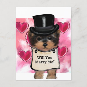 Yorkie Poo Postcard