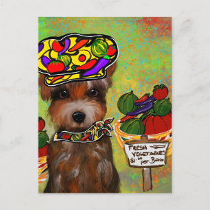 Yorkie Poo Postcard