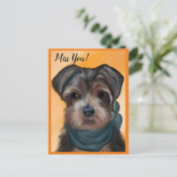 YORKIE POO