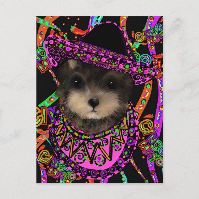Yorkie Poo   Postcard (Front)