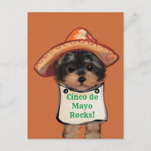 Yorkie Poo Postcard
