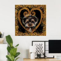 Yorkie Poo