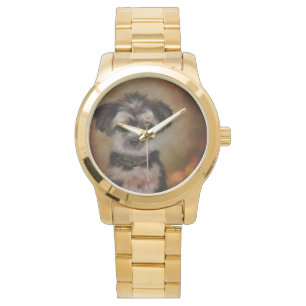 Yorkie Poo Watch