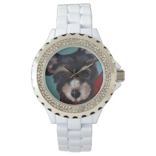 Yorkie Poo Watch