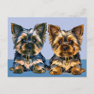 Yorkie Postcard