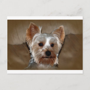 Yorkie Postcard